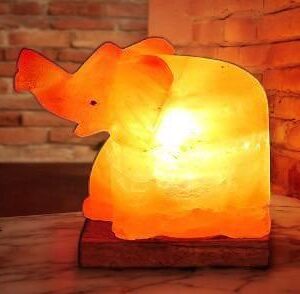 Elephant Shaped Salt Lamp