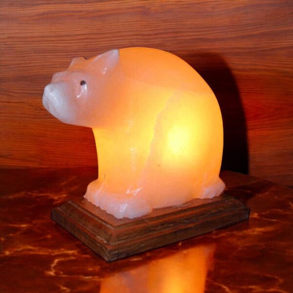 Himalayan Pink Salt Bear Shaped Lamp - Image 3