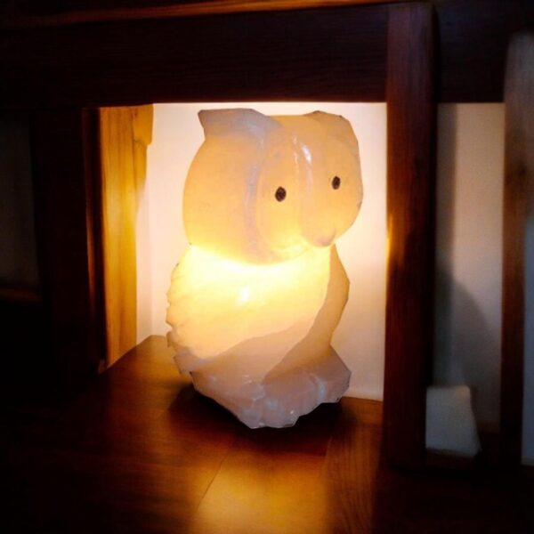 Himalayan Pink Salt Owl Shaped Lamp - Image 2