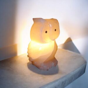 Himalayan Pink Salt Owl Shaped Lamp