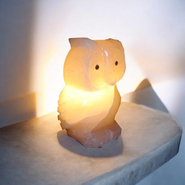 Himalayan Pink Salt Owl Shaped Lamp